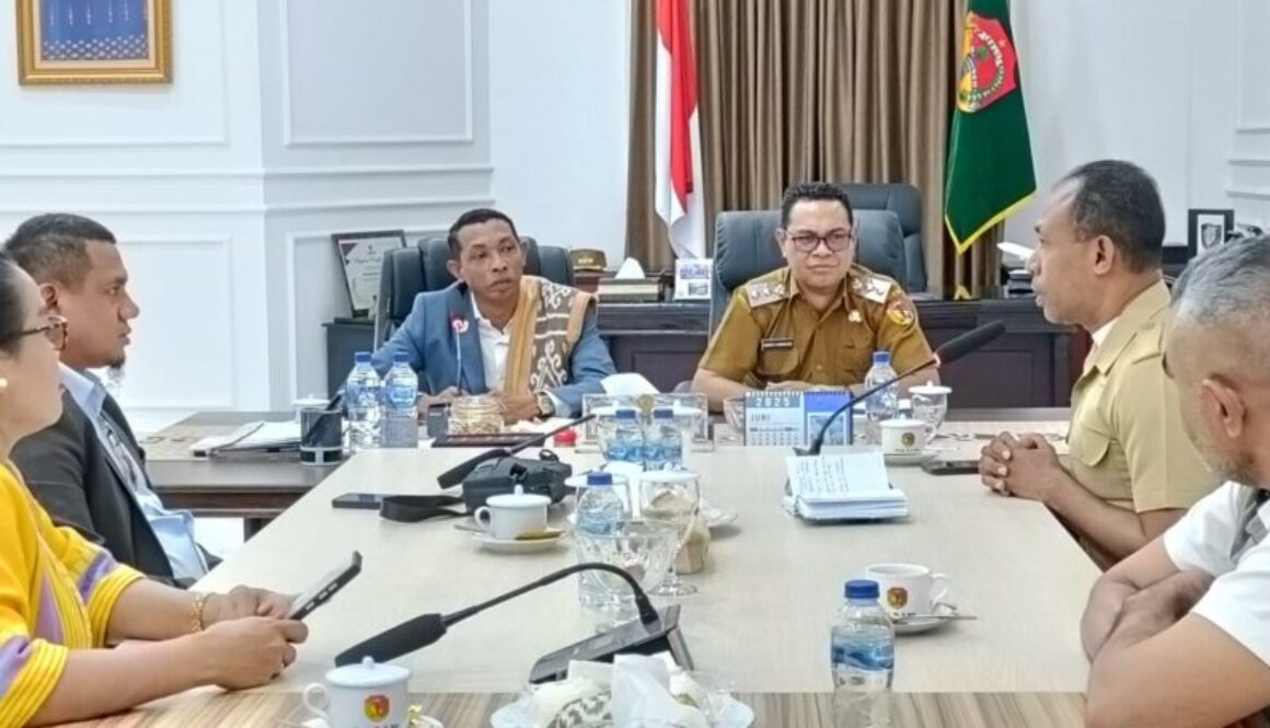 konsulat