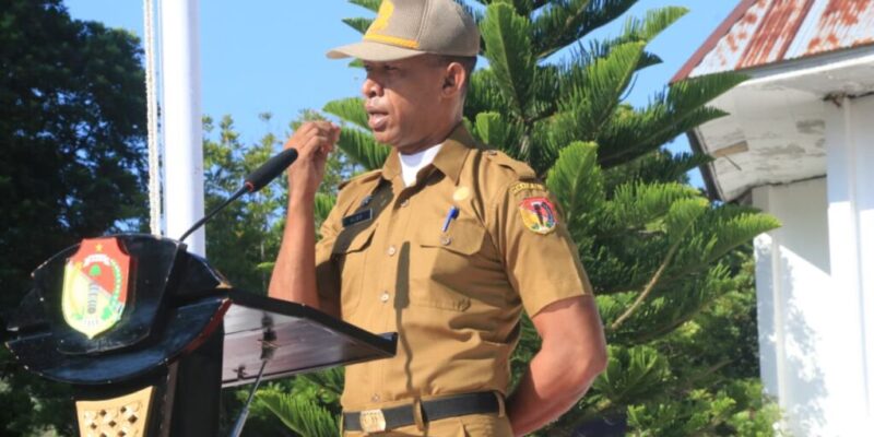 WhatsApp Image 2025-11-03 at 09.14.07