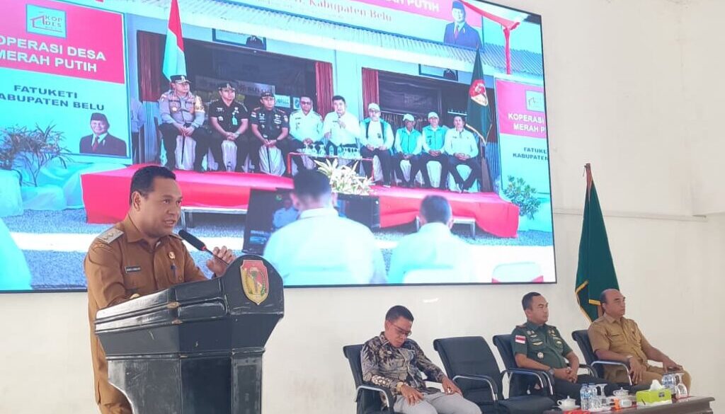 WhatsApp Image 2025-11-05 at 08.12.53