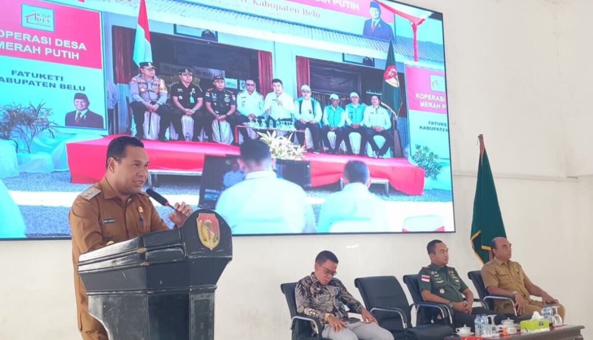 WhatsApp Image 2025-11-05 at 08.12.53