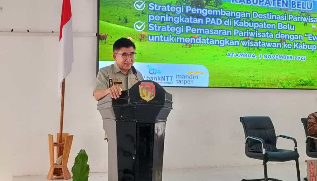 WhatsApp Image 2025-11-07 at 18.32.40