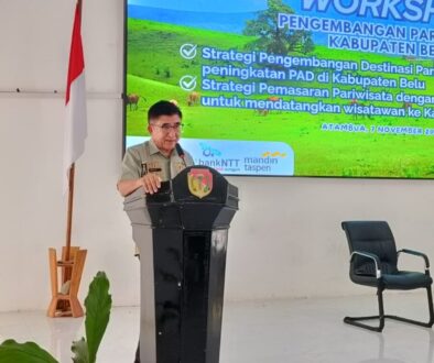 WhatsApp Image 2025-11-07 at 18.32.40